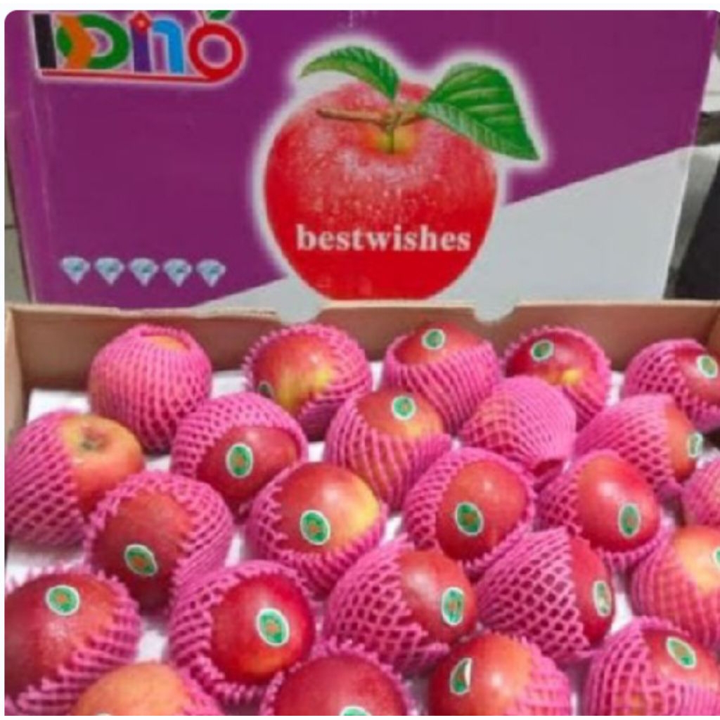 APEL FUJI DINO (1 karton - 125/17kg)