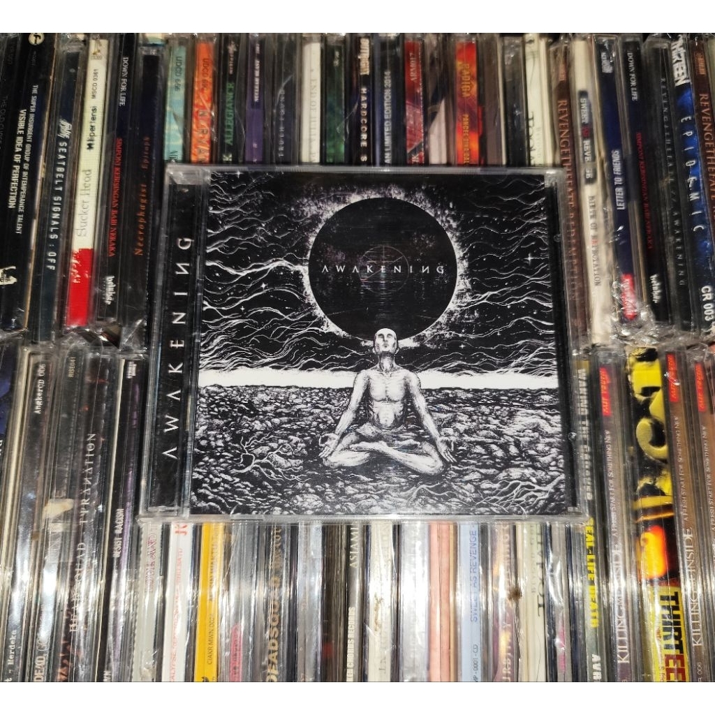 CD Revenge The Fate - Awakening