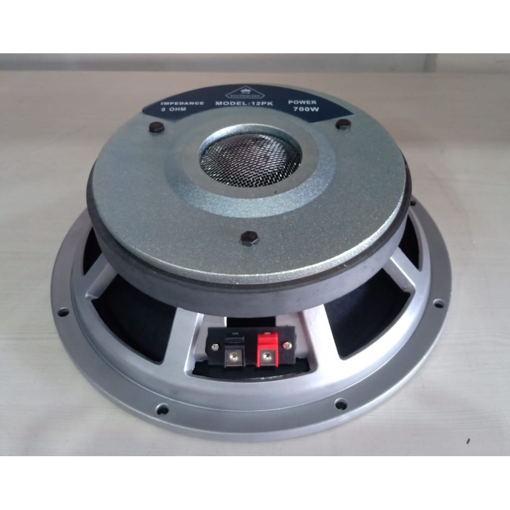 SPEAKER SOUNDQUEEN 12PK 12IN