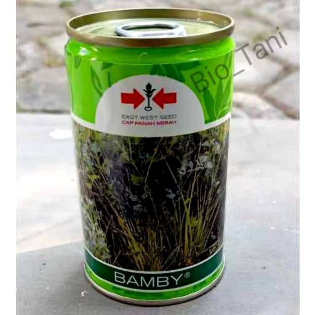 Benih Seledri Bamby 50 gr