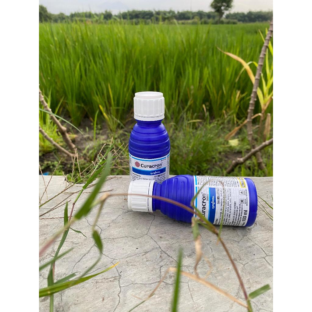 Insektisida Curacron 500 EC 100 ml syngenta profenofos obat hama semut ulat anggrek insek insektisid
