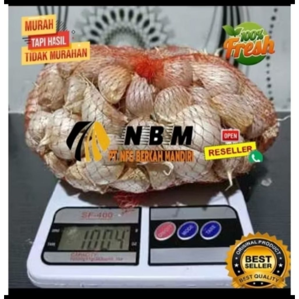 Bawang Putih Honan/Biasa Super Bersih 1 kg - Segar, Bersih, Siung Besar