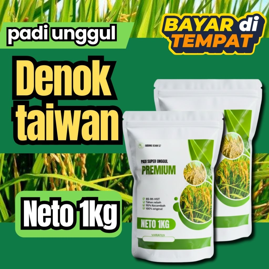 benih padi Denok Taiwan 1kg berkualitas