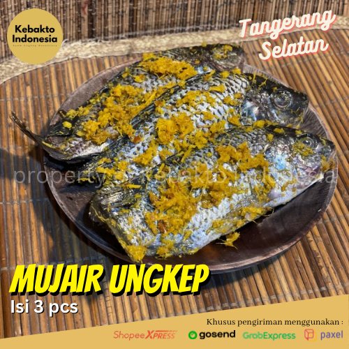 [SIAP GORENG] Ikan Mujair/Mujaer Ungkep Bumbu Lengkuas