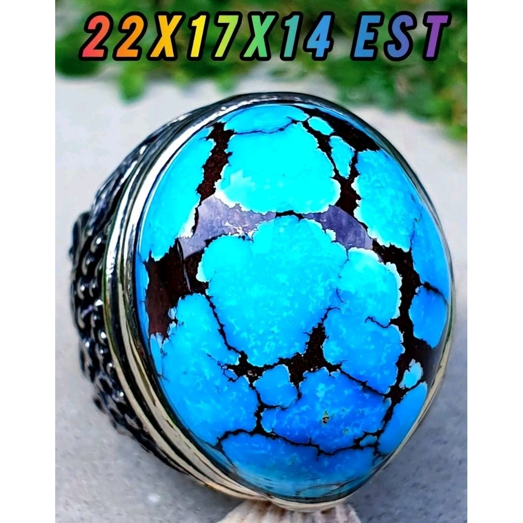 pirus mesir jenong mumbul