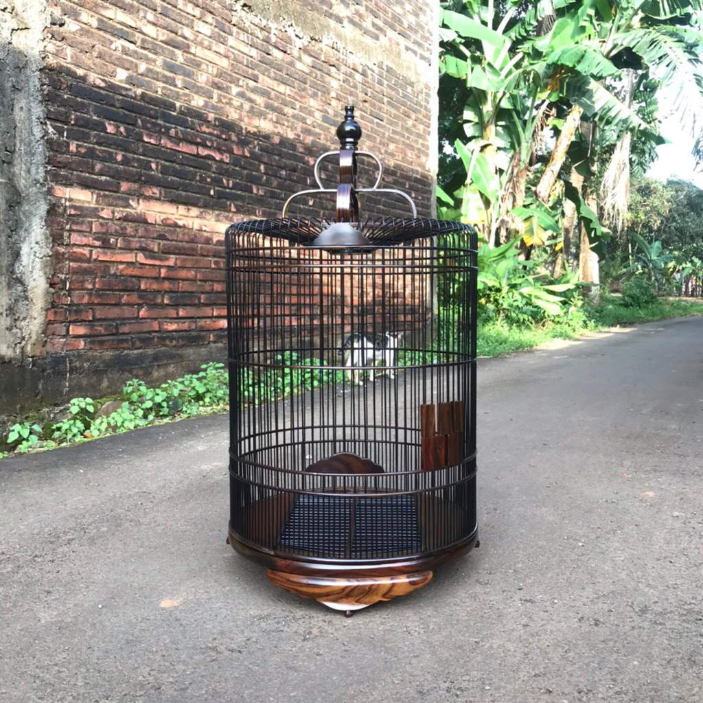 sangkar kacer D48 kayu sonokeling,sangkar bulat buat kacer kayu sono,sangkar kacer kayu jati