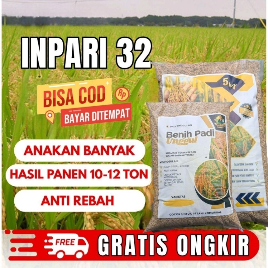 Benih Padi INPARI 32 Jumbo Kualitas Premium Kemasan 5kg