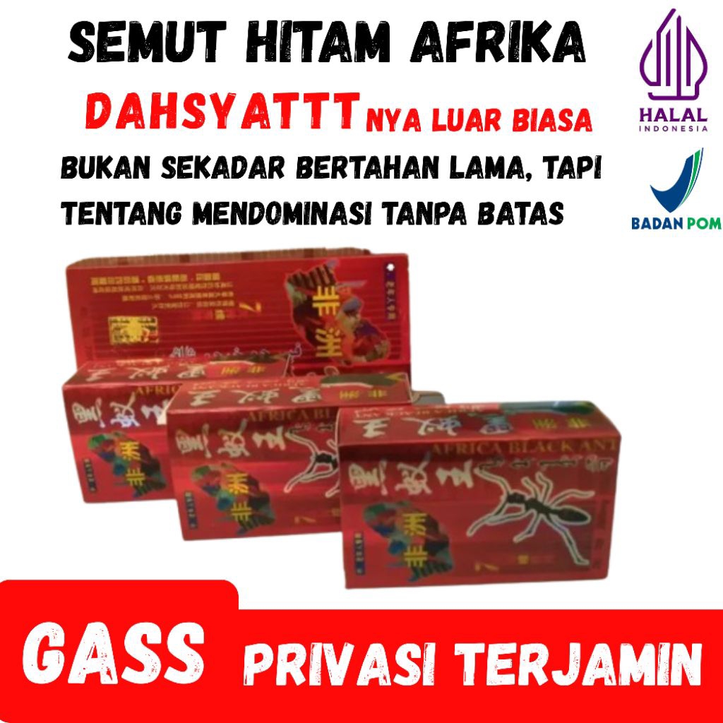 OBATKUAT semut hitam Afrika