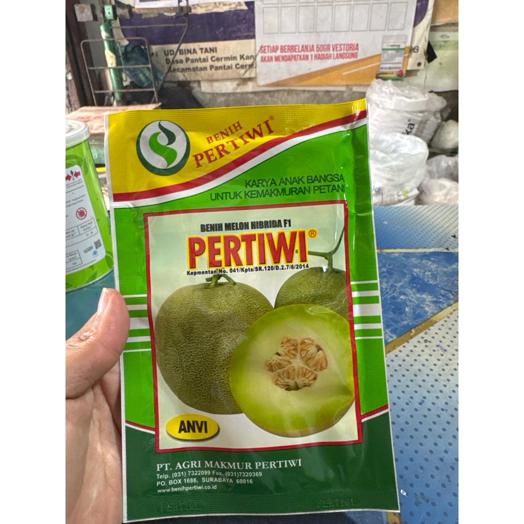 melon pertiwi f1