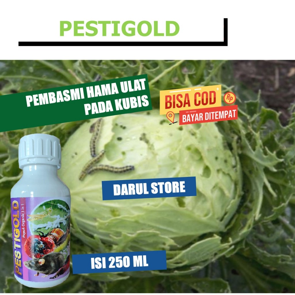 OBAT ULAT KUBIS PALING AMPUH PestiGold 250 ml PESTISIDA NABATI 500 ML - OBAT ULAT KUBIS ALAMI TERBAI