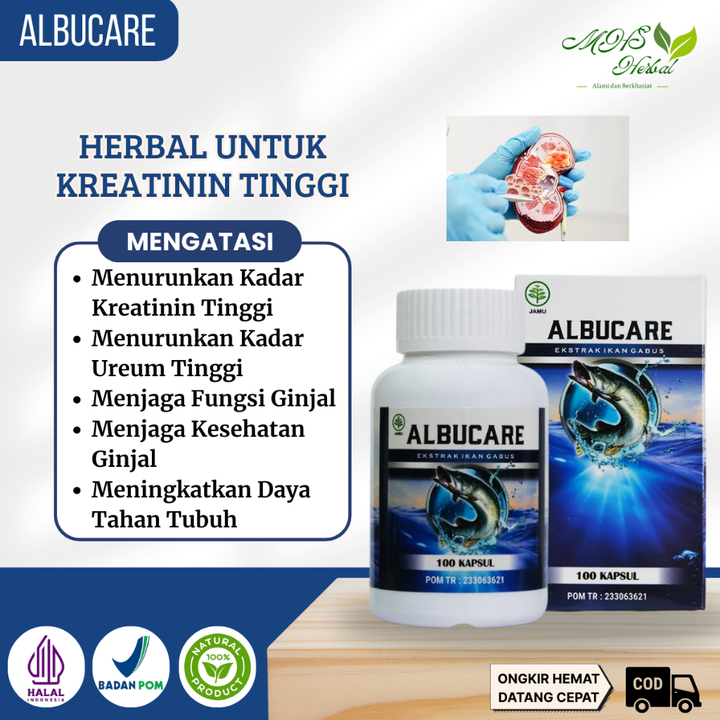 Obat Kreatinin Tinggi, Menurunkan Kadar Kreatinin Tinggi, Menurunkan Ureum Tinggi, Memperbaiki Fungs