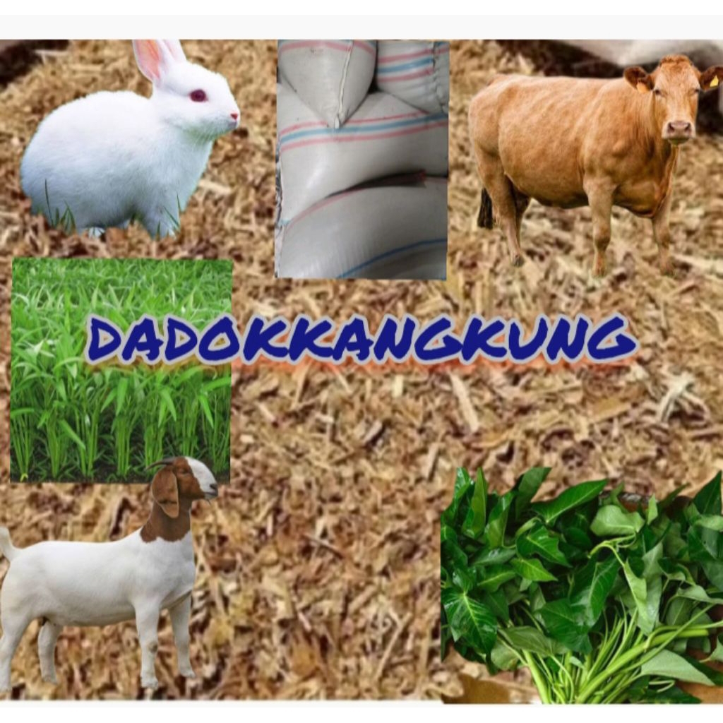 KANGKUNG. KERING/DADOK KANGKUNG 25kg 1 SAK