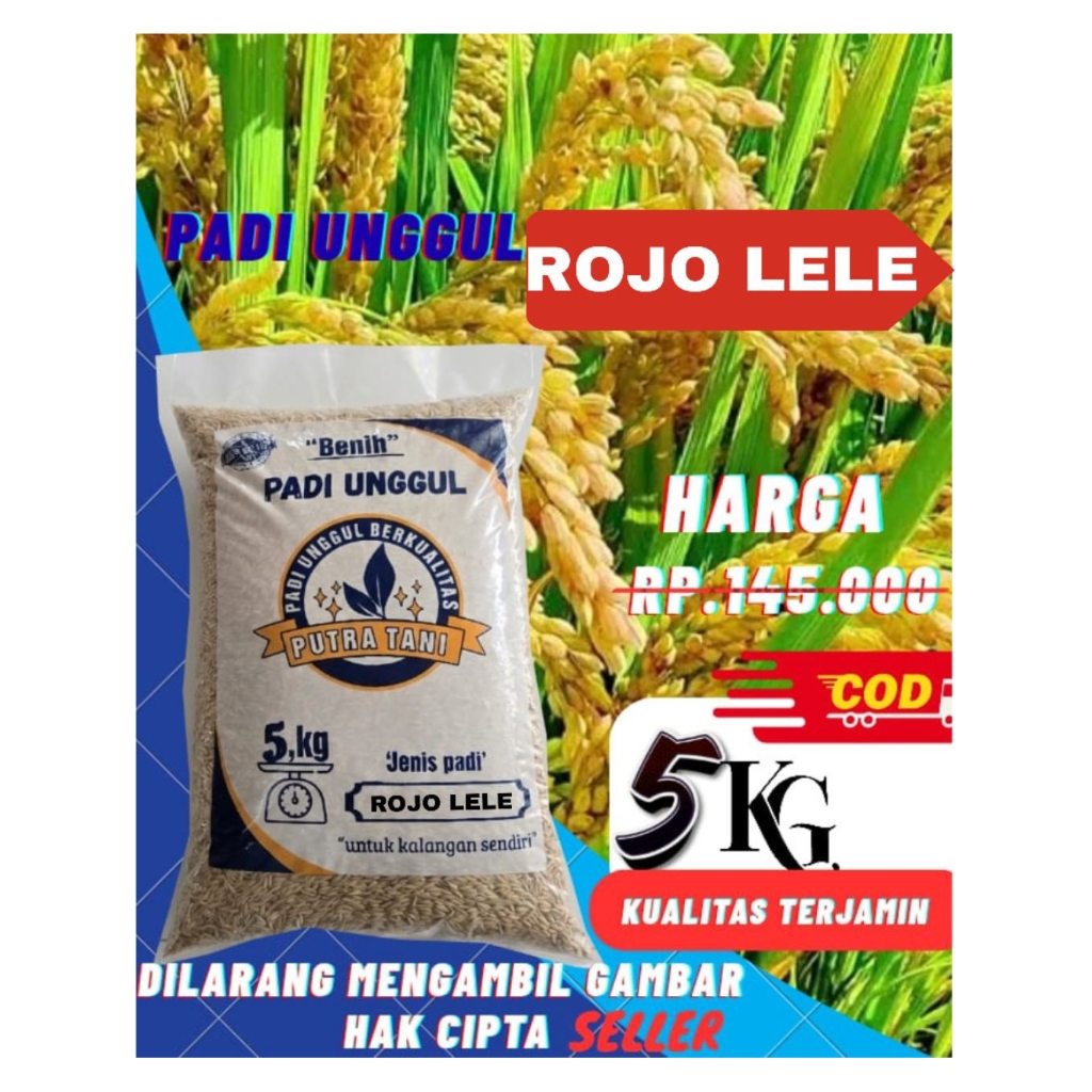 Benih padi Unggul ROJOLELE, Kemasan 5kg Kualitas premium