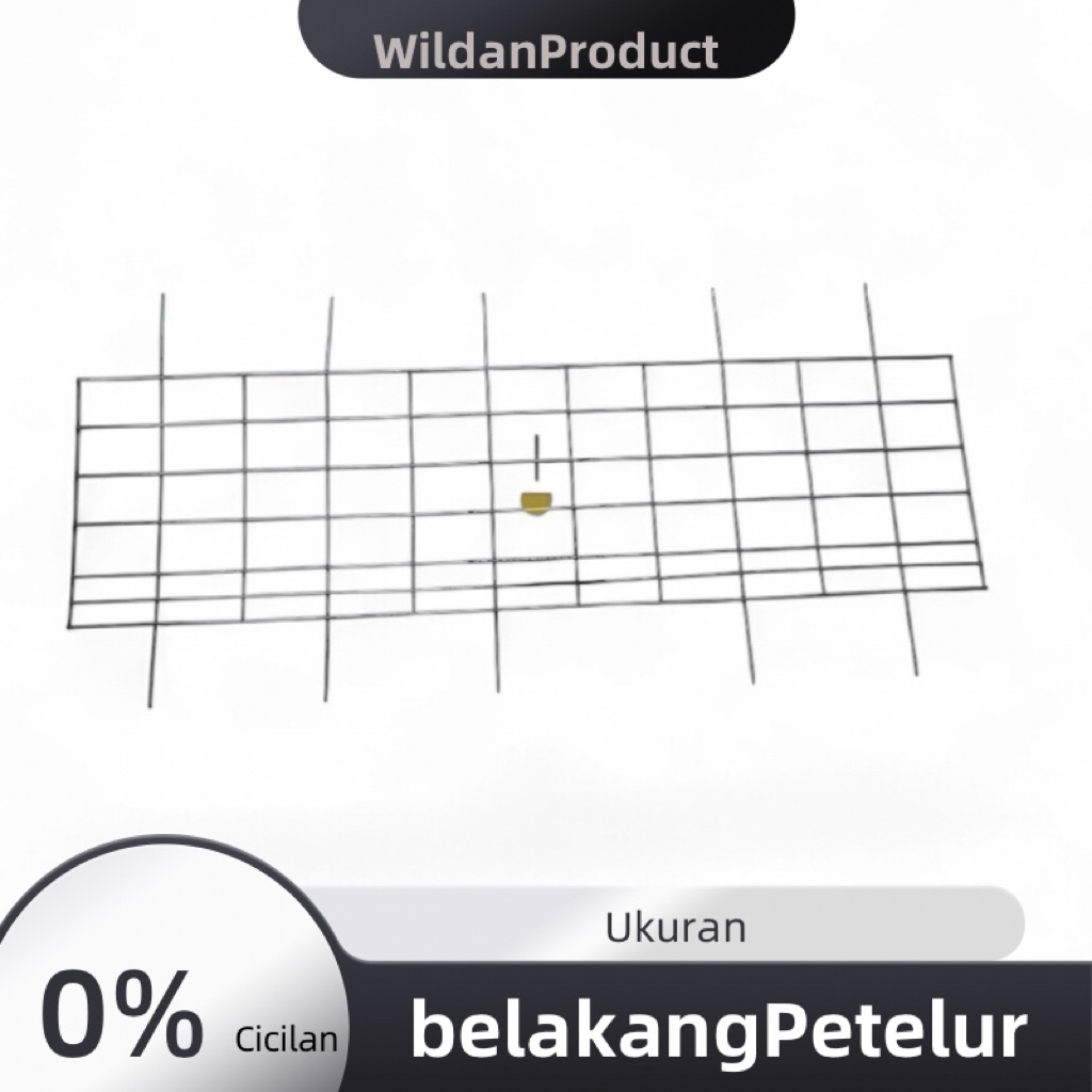 ram belakang kandang ayam galvanis petelur