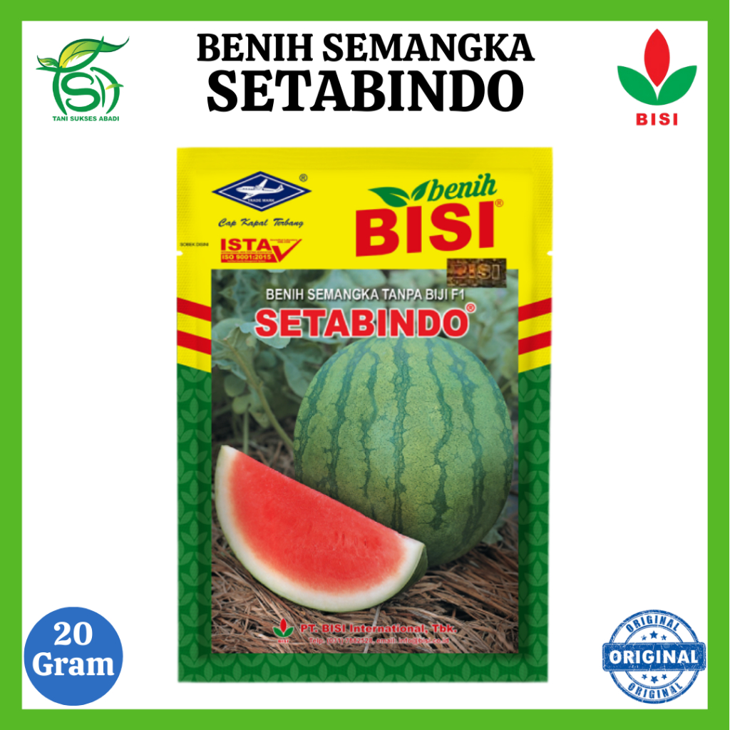 Benih Semangka SETABINDO (20 Gram) - Bibit Tanpa Biji Hibrida F1 BISI