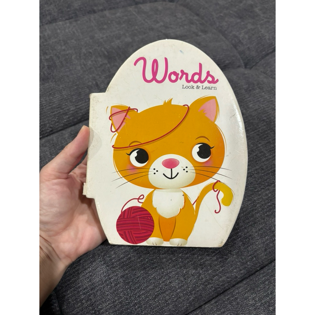 Words look & learn book