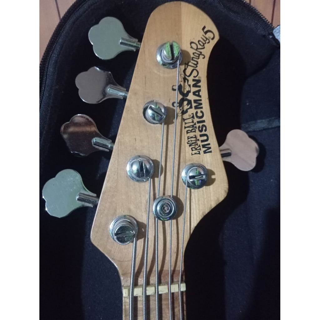 musicman bass 5 string aktif