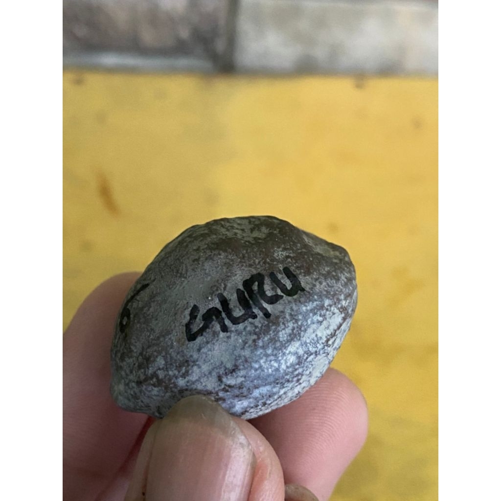 Muncang Adu Wadas grade A kode 6