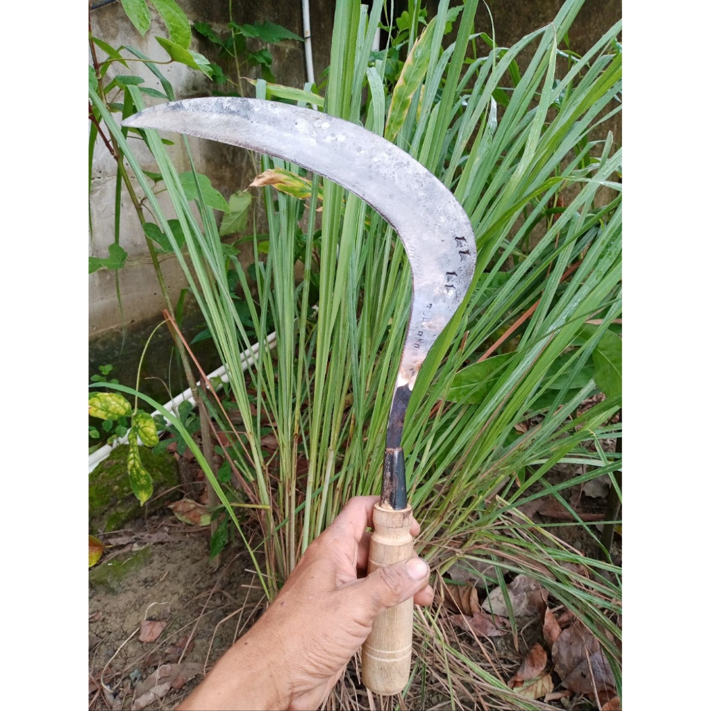 arit rumput padi super tajam