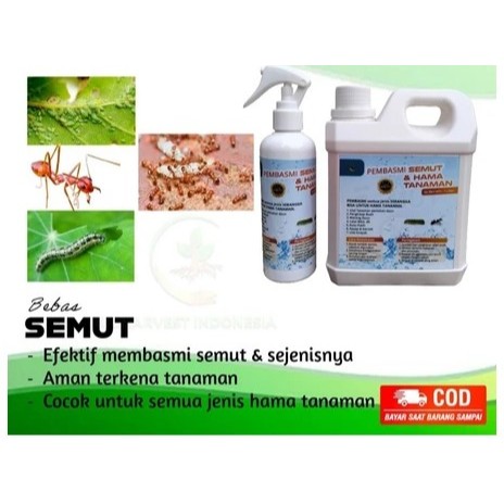 RACUN SEMUT PEMBASMI PENGUSIR SEMUT RUMAH RACUN SEMPROT CAIRAN ANTI SEMUT HAMA TANAMAN RACUN KUTU PU
