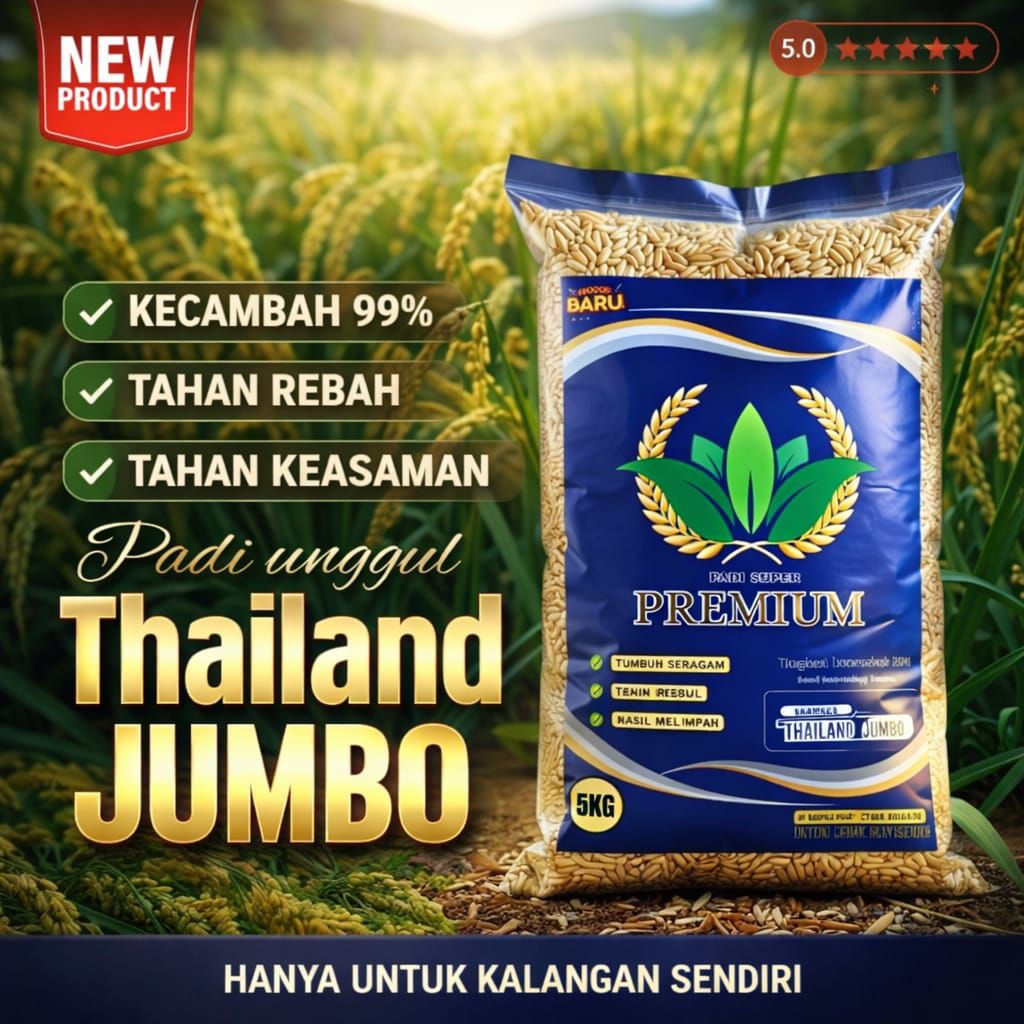 Benih padi Thailand jumbo original 5kg