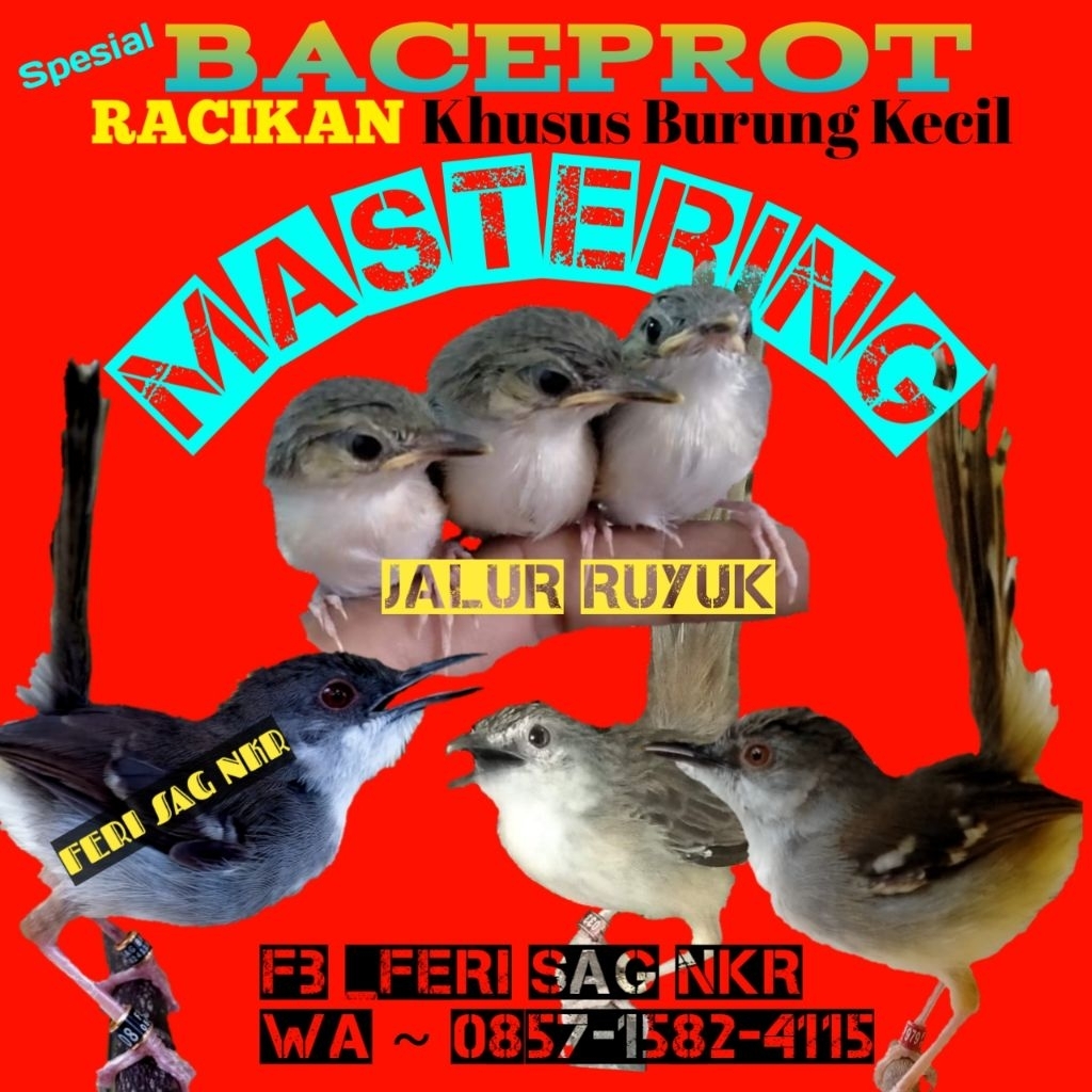 Dedek Baceprot