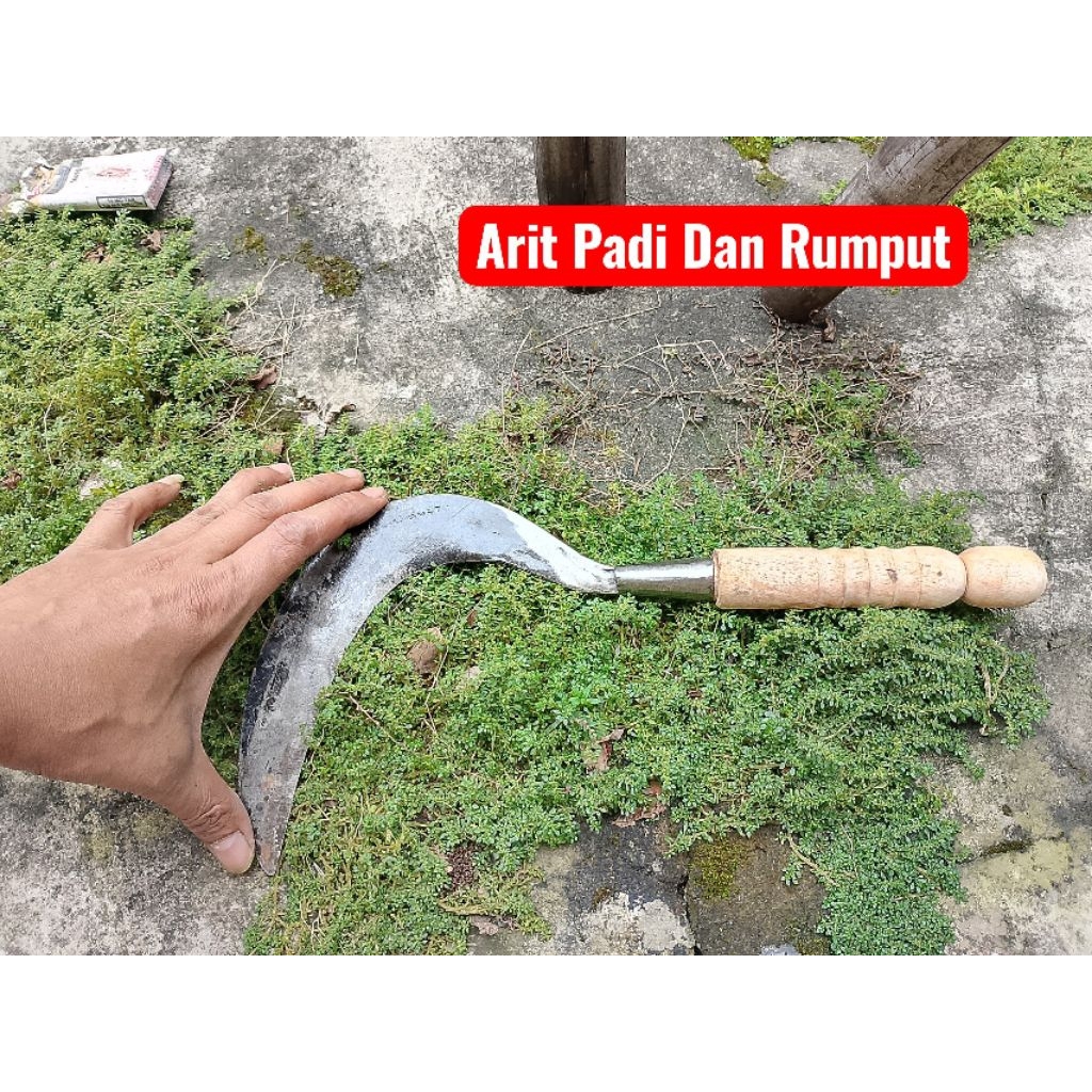 Arit Tulungagung Arit Padi dan Rumput
