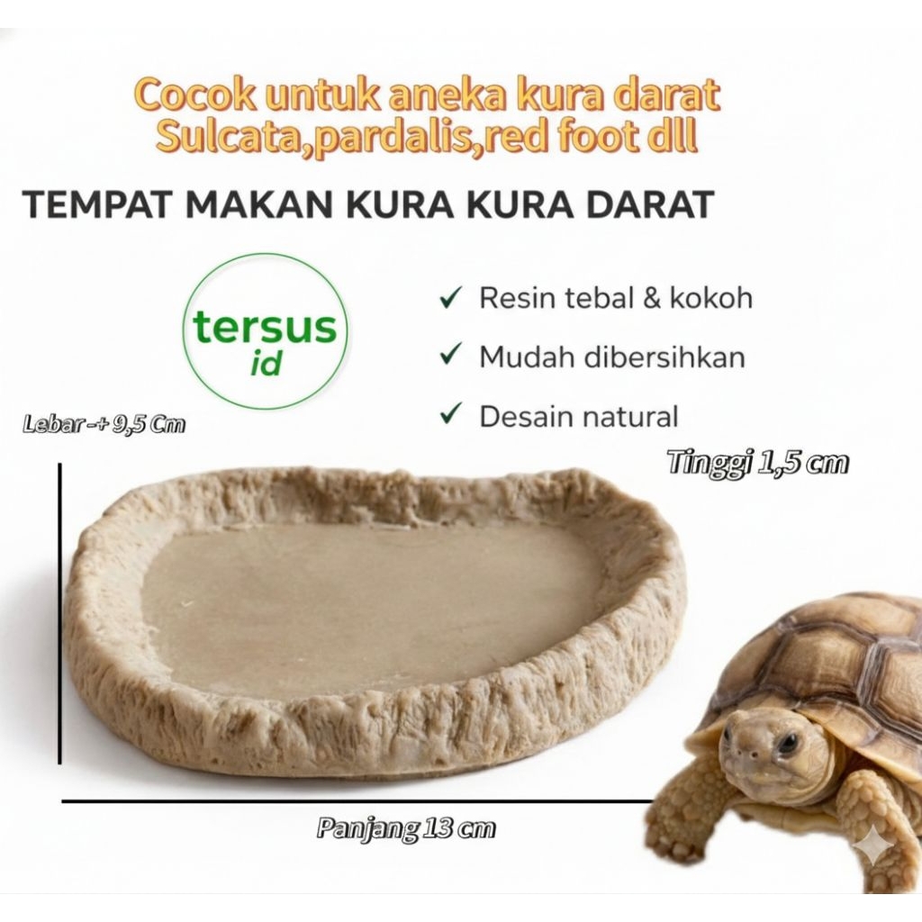 Tempat Makan Kura Kura Darat Resin Tebal | Sulcata Pardalis Aldabra