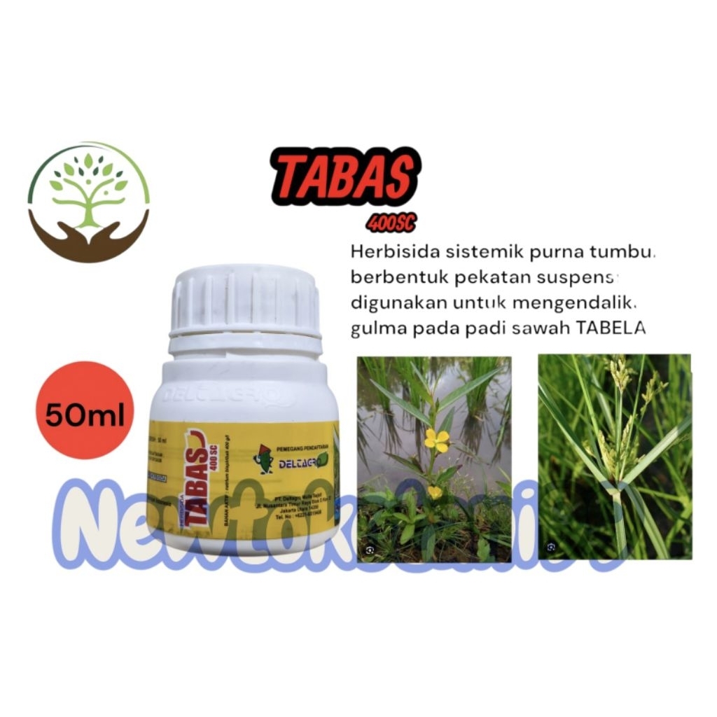 ( 50ml ) Herbisida TABAS 400 SC 50 ML obat rumput padi herbisida selektif tanaman padi
