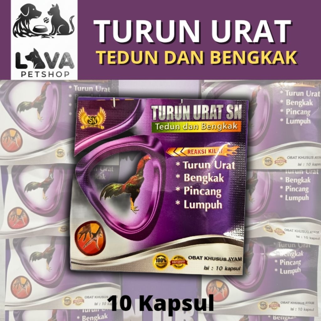TURUN URAT SN Obat Ayam Herbal 10 Kapsul