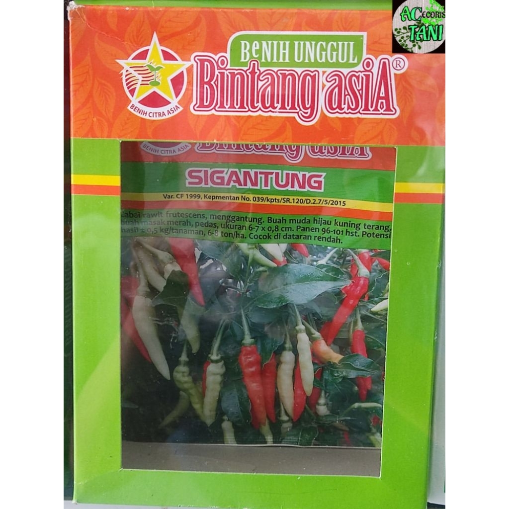 Benih Cabe SETAN Sigantung Bintang Asia - Daya Kecambah Tinggi, Kemasan 50 Gram