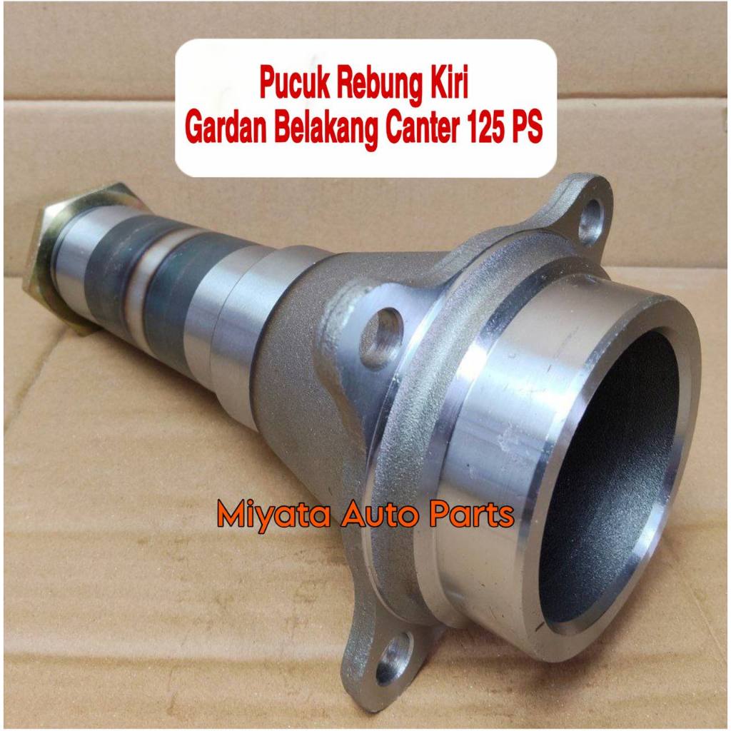 Pucuk Rebung Gardan Belakang Canter 125 PS