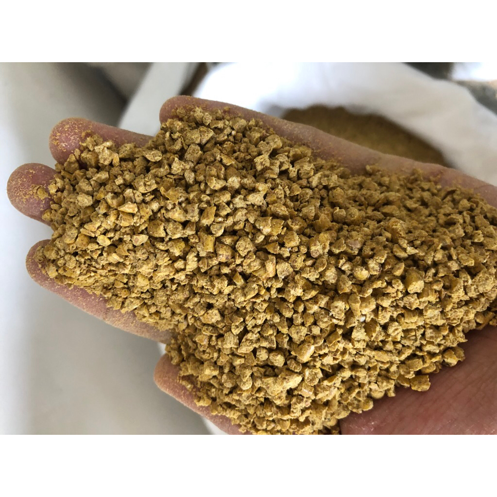 Pakan anak ayam murah Royal Feed Shamo 1 kg