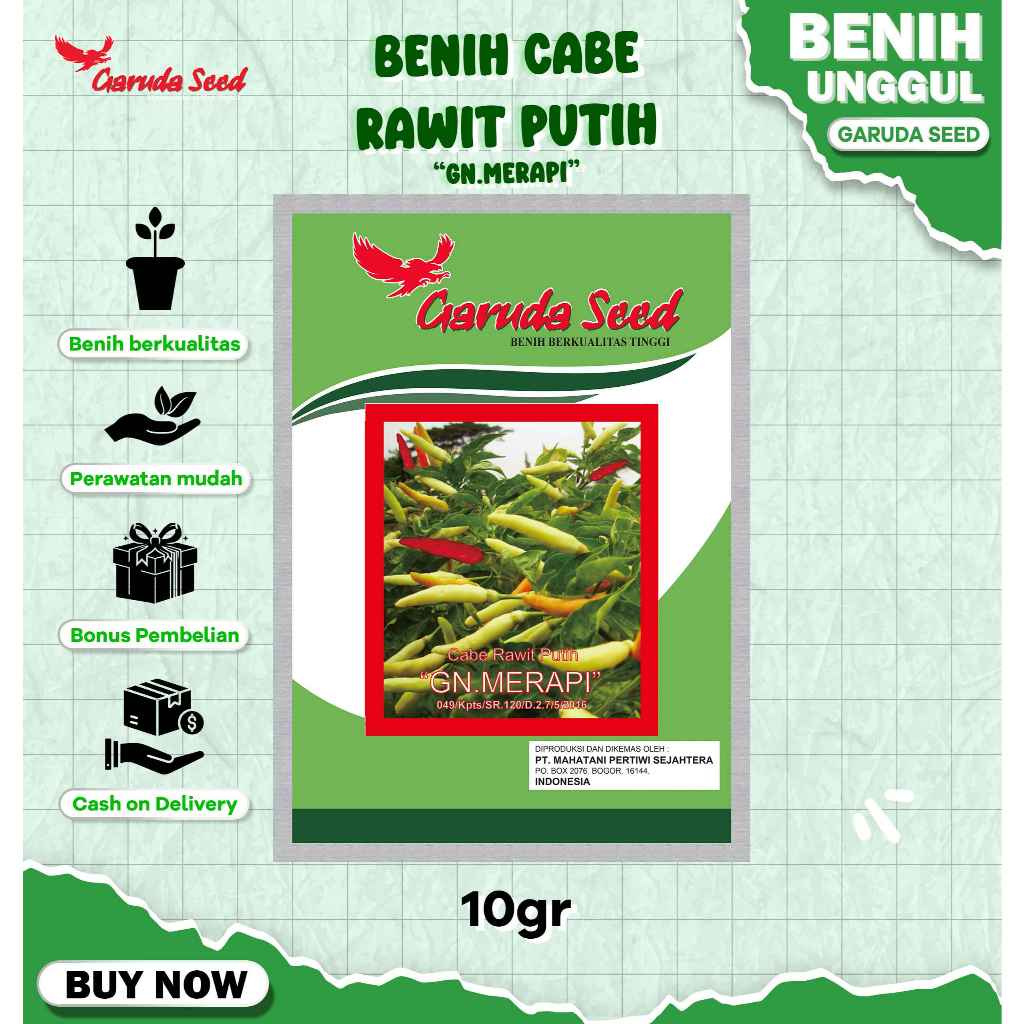 Benih Cabe Rawit Putih Unggul 10 Gram Kemasan Pabrik untuk Budidaya Tanaman Cabai