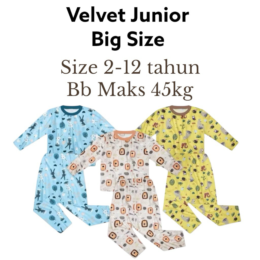 BIG SIZE VELVET JUNIOR BAJU ANAK PIYAMA ANAK LAKI LAKI PREMIUM ANAK PEREMPUAN BAJU PIYAMA ANAK LAKI 
