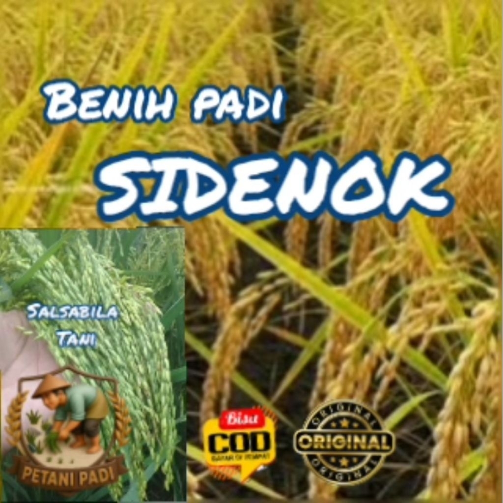 BENIH PADI DENOK SUPER KEMASAN 1KG