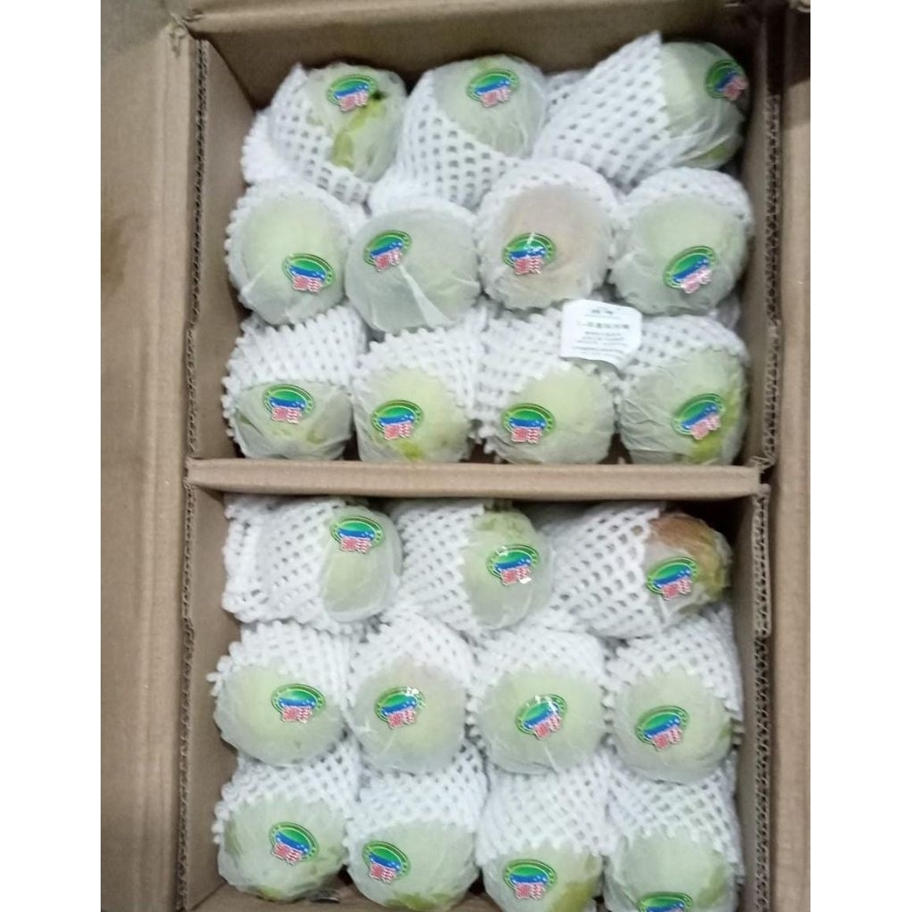 Indukbuah Buah Pir xiangli Pear xiang lie 1 dus ±7kg