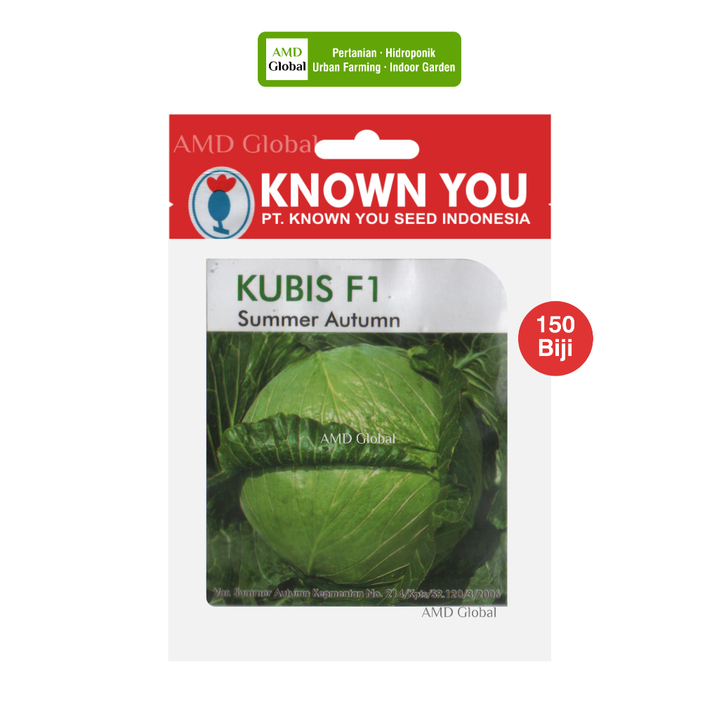 Benih Kol Kubis Summer Autumn F1 Known You Seed Isi 150 Biji