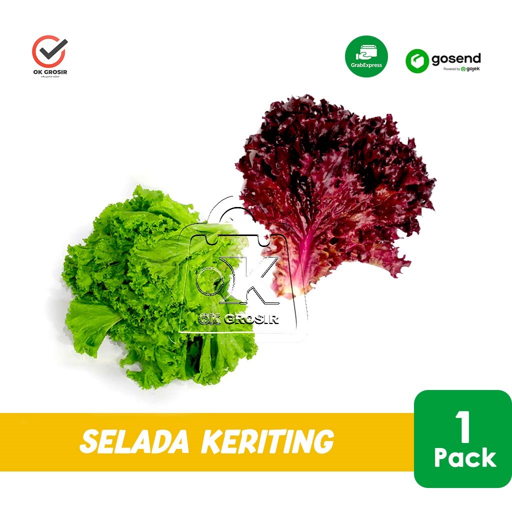 Selada Keriting / Andewi / Endive Lettuce (KHUSUS INSTANT)