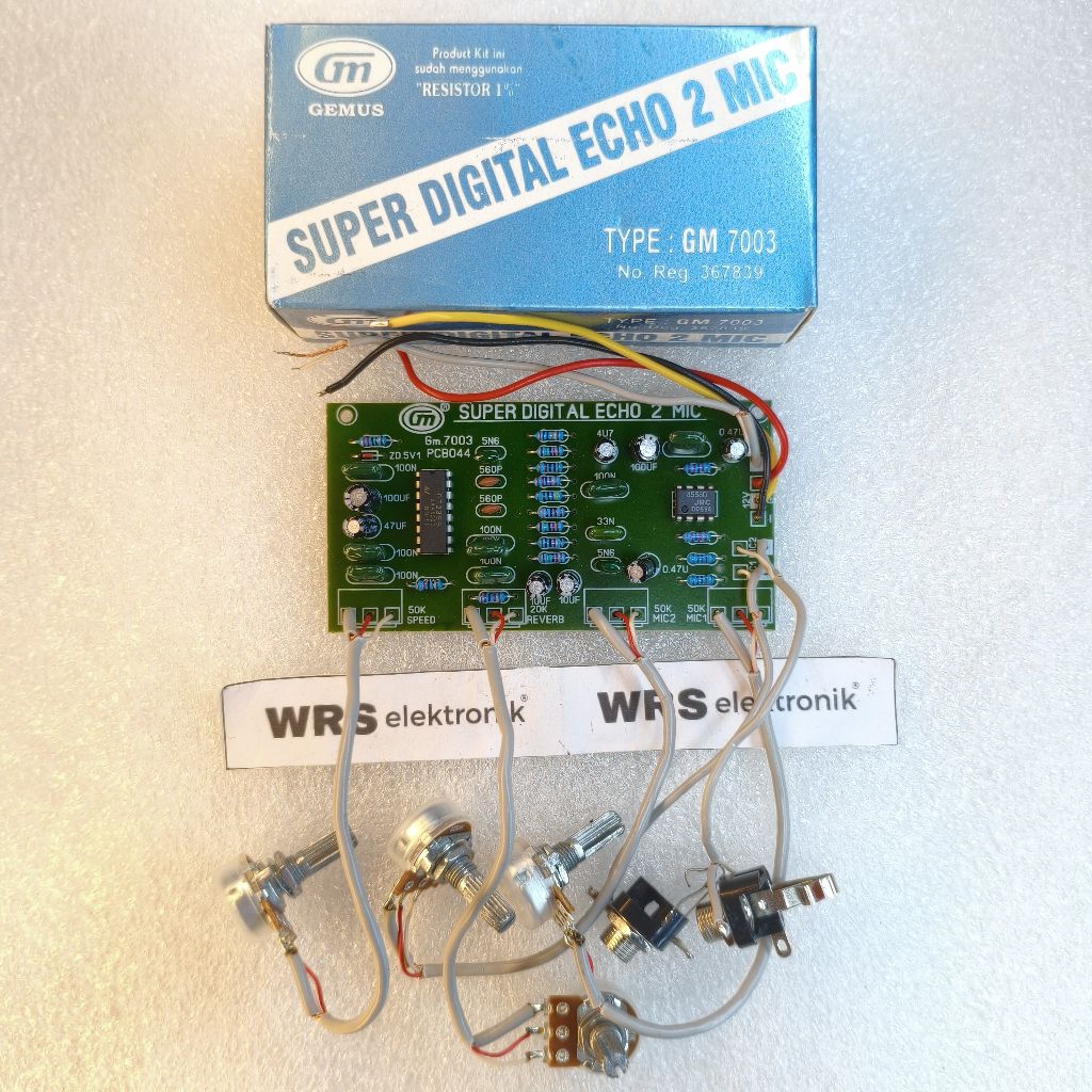 Kit Super Digital Echo 2 mic GM. 7003 CT 12V