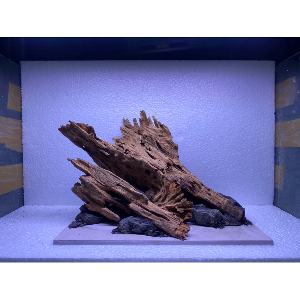 Hardscape Natural Aquascape