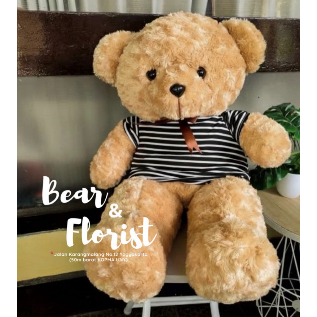 TEDDY BEAR ROSE AMERICAN EDITION/ Boneka Jumbo Jogja/Boneka Beruang Instant Jogja Lucu Kado Ulangtah