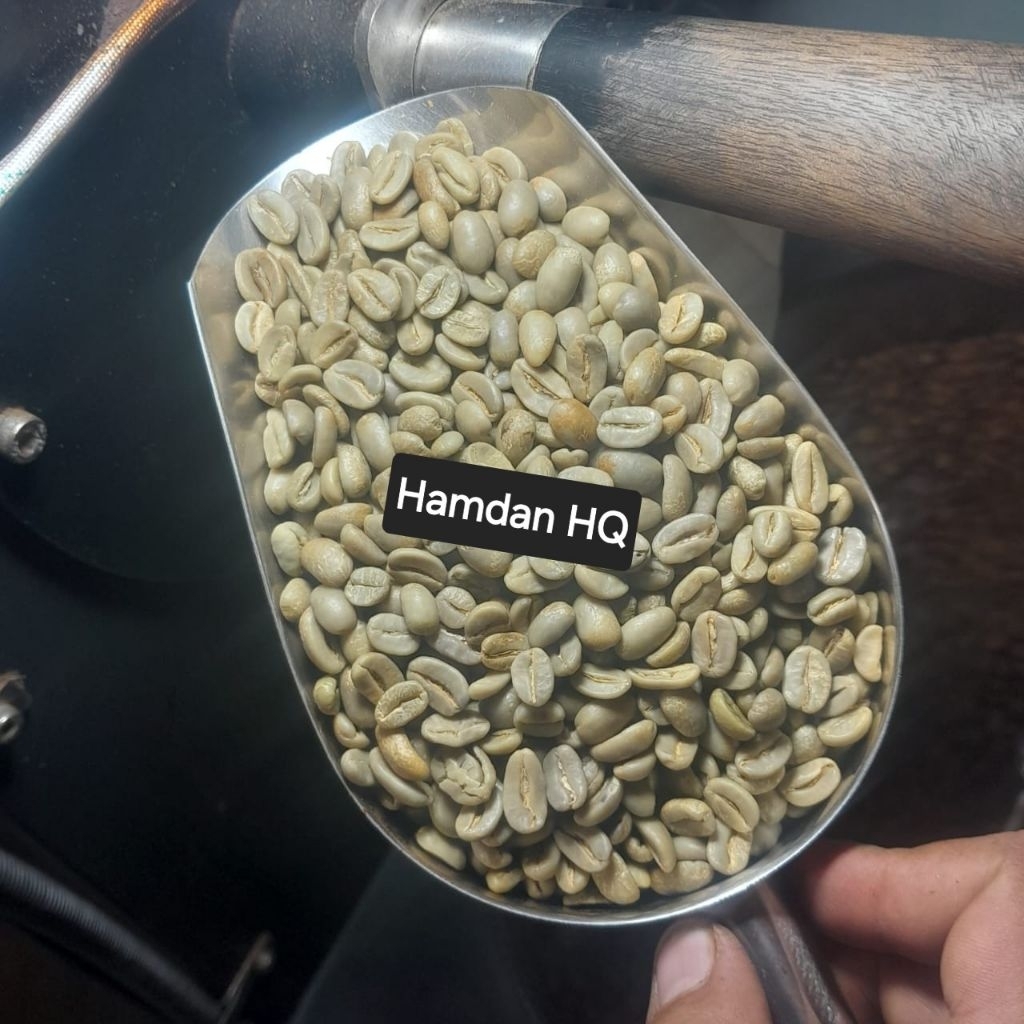 Green Bean Arabika Gayo Grade 1 Petik Merah 1 Kg | Fresh Crop | Specialty Coffee