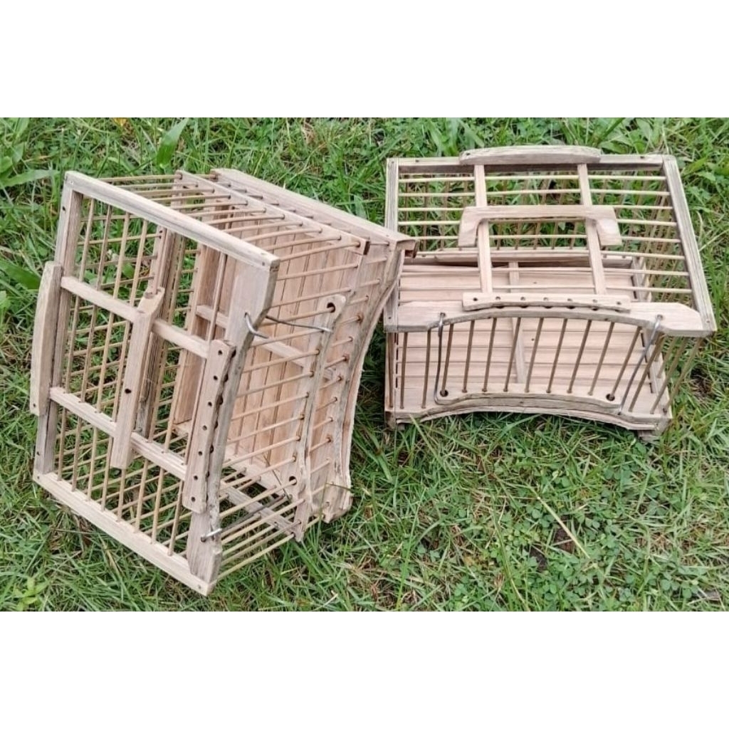 sangkar untul pleci sogon dll