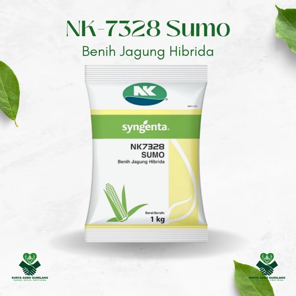 Benih Jagung NK SUMO 7328 Benih Jagung Syngenta Benih Jagung