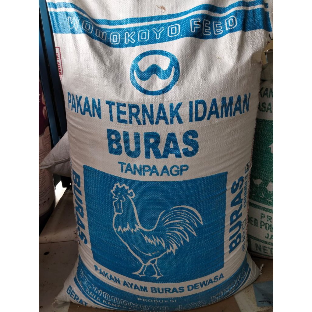 pakan ayam buras
