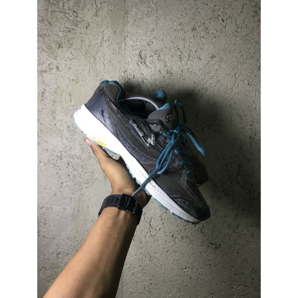 Eagle Running