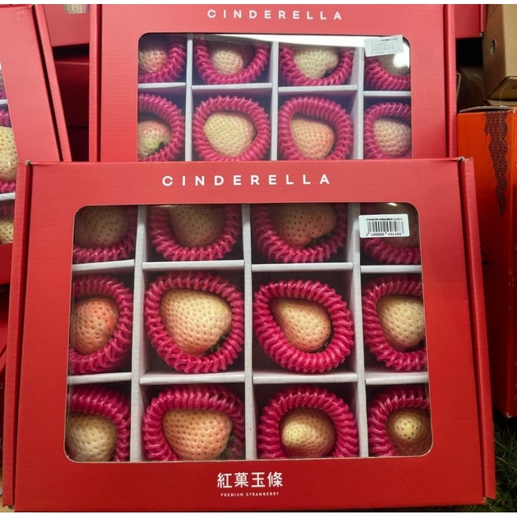 Strawberry Korea Pink / Strawberry Cinderella Fresh 1 Pack