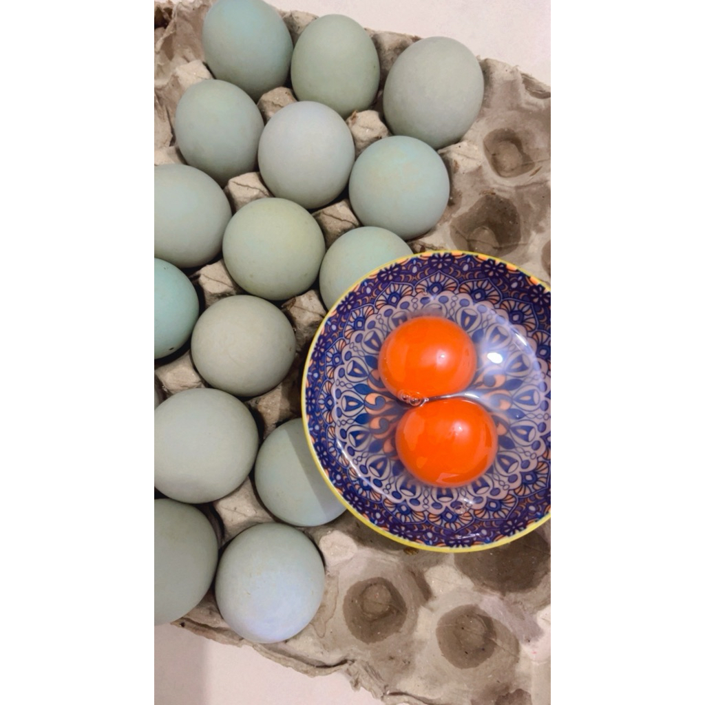 Telur Bebek Omega- 1 Butir Telur Bebek Tawar PREMIUM Telur Bebek Omega