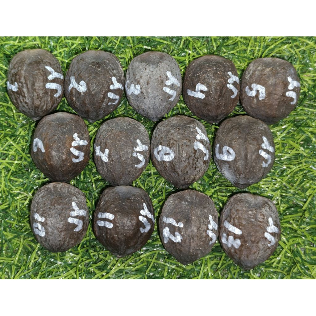 Muncang Jalim kulit Yanti